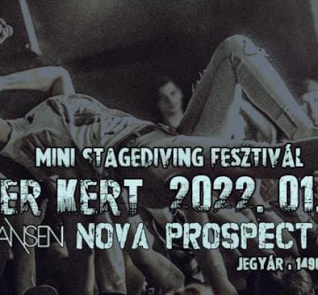 Mini Stagediving Fesztivál // Nova Prospect, Tiansen, Leecher, Tengerszem // január 14. Dürer