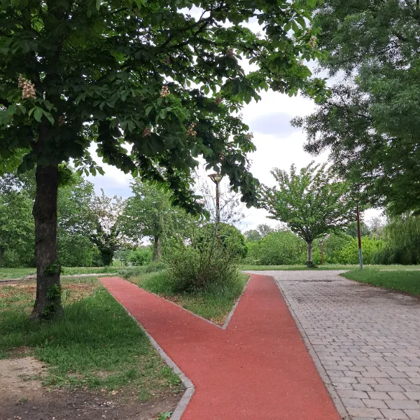 Run by the Danube! Celebrate World Running Day on BudaPart’s newly renewed running track